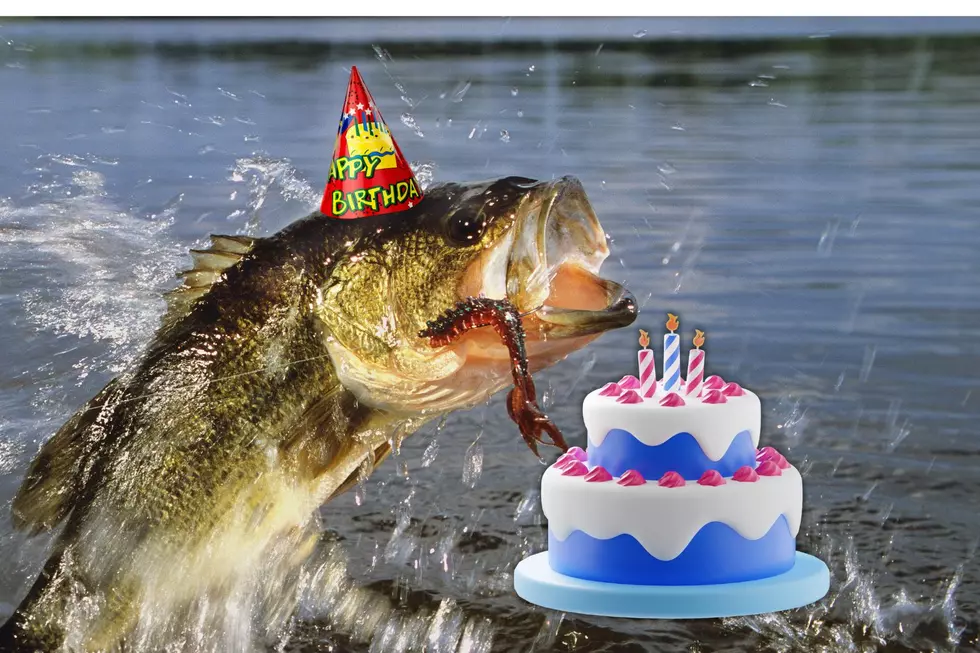 Utah Scientists Share Surprising Way To Determine Fish Ages