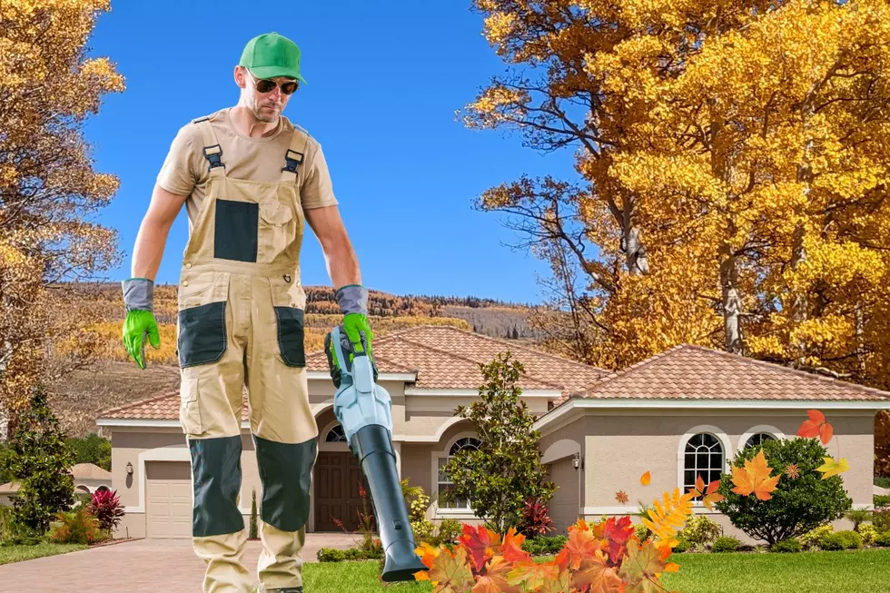 Know Utah Leaf Law: This Is Illegal Without Permission