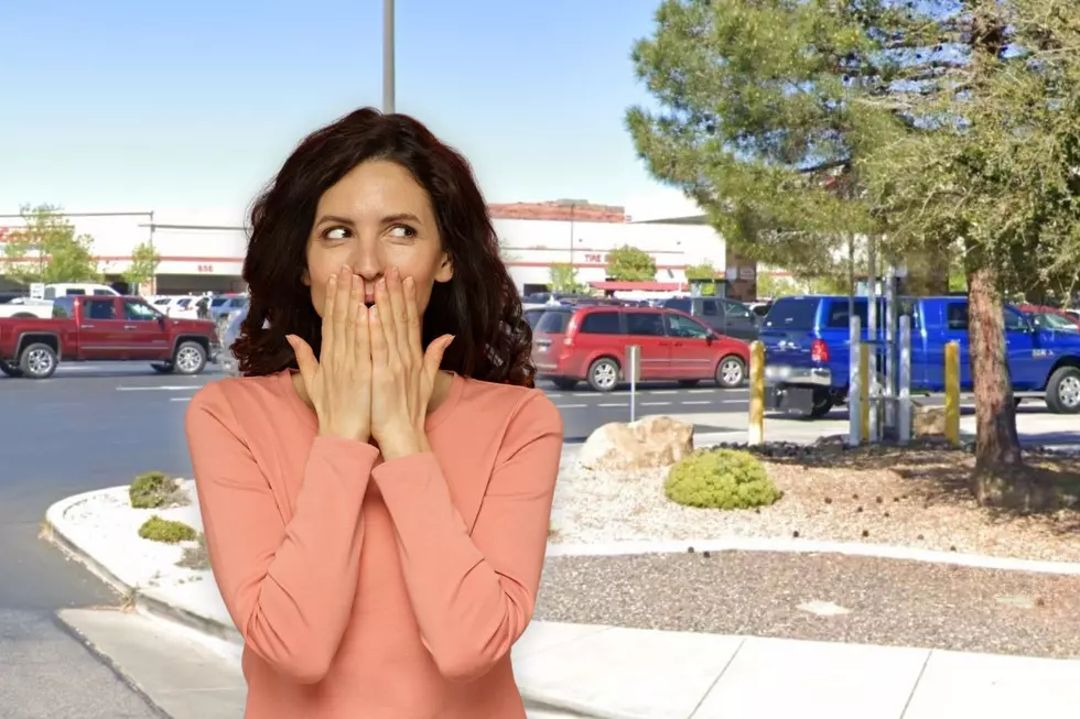 Worth It? Sitting in Crammed Gas Lines at Utah Costco
