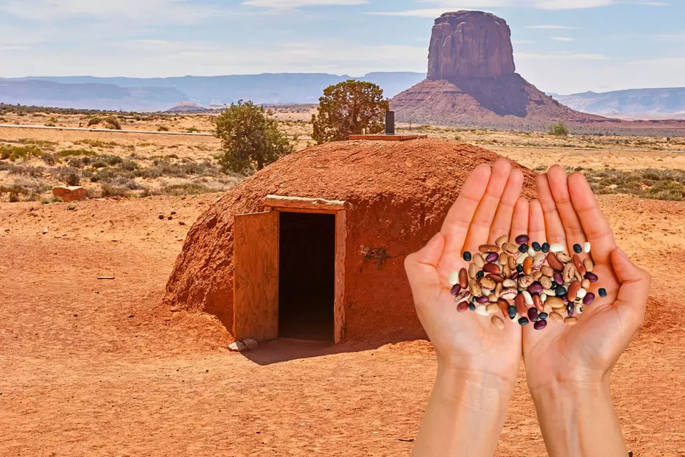 “More Protein Than Beef,” Super Bean Grown in the Southwest Desert Needs to be Eaten
