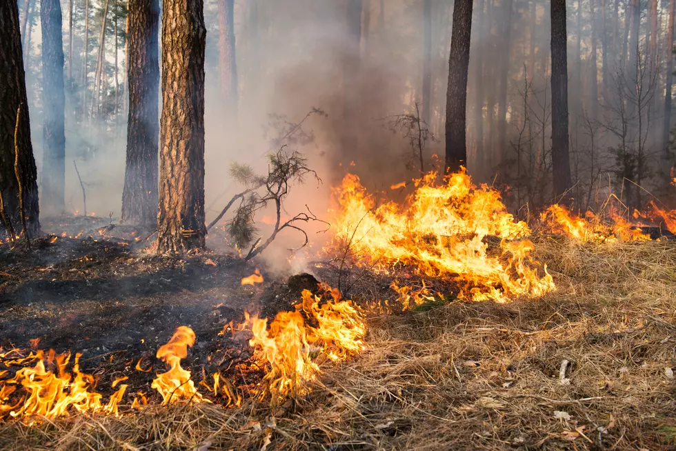 Cedar City Ranger District To Start Prescribed Burns Northeast Of Duck Creek